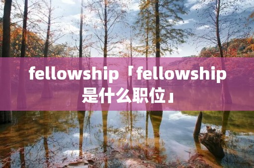 fellowship「fellowship是什么职位」
