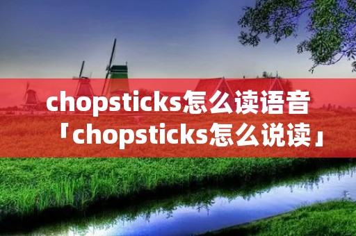 chopsticks怎么读语音「chopsticks怎么说读」