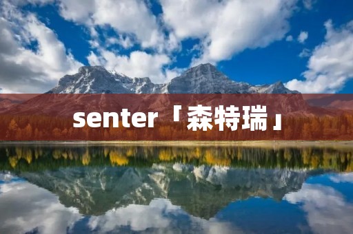 senter「森特瑞」 senter「森特瑞」