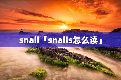 snail「snails怎么读」
