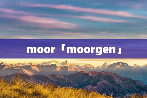 moor「moorgen」 moor「moorgen」