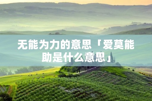 无能为力的意思「爱莫能助是什么意思」