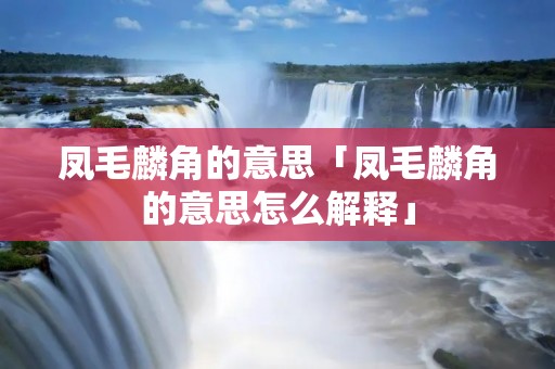 凤毛麟角的意思「凤毛麟角的意思怎么解释」 凤毛麟角的意思「凤毛麟角的意思怎么解释」