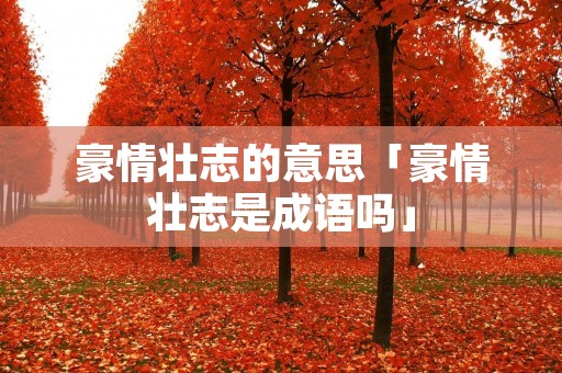 豪情壮志的意思「豪情壮志是成语吗」