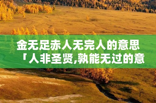 金无足赤人无完人的意思「人非圣贤,孰能无过的意思」