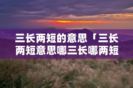 三长两短的意思「三长两短意思哪三长哪两短」 三长两短的意思「三长两短意思哪三长哪两短」