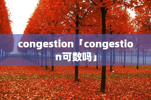 congestion「congestion可数吗」