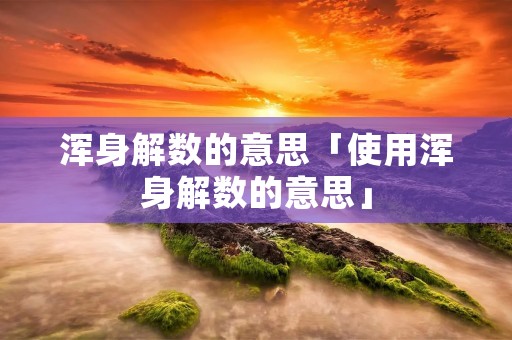 浑身解数的意思「使用浑身解数的意思」