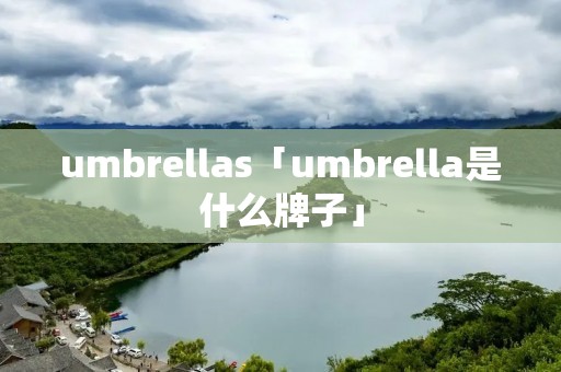 umbrellas「umbrella是什么牌子」