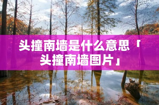 头撞南墙是什么意思「头撞南墙图片」