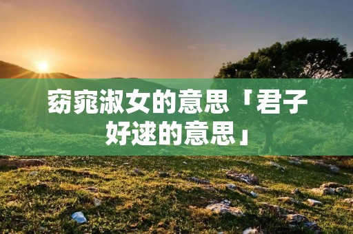 窈窕淑女的意思「君子好逑的意思」
