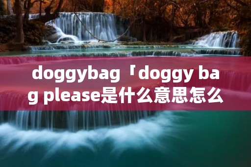 doggybag「doggy bag please是什么意思怎么读」 doggybag「doggy bag please是什么意思怎么读」