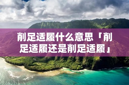 削足适履什么意思「削足适履还是削足适履」