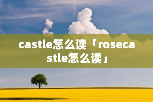 castle怎么读「rosecastle怎么读」