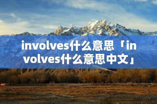 involves什么意思「involves什么意思中文」