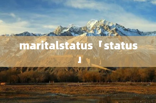 maritalstatus「status」