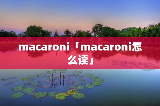 macaroni「macaroni怎么读」