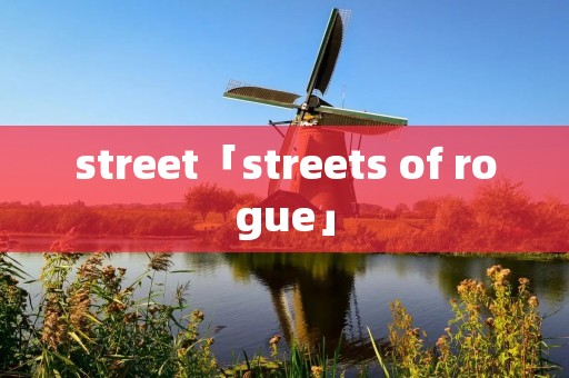 street「streets of rogue」