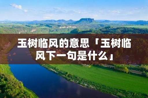 玉树临风的意思「玉树临风下一句是什么」
