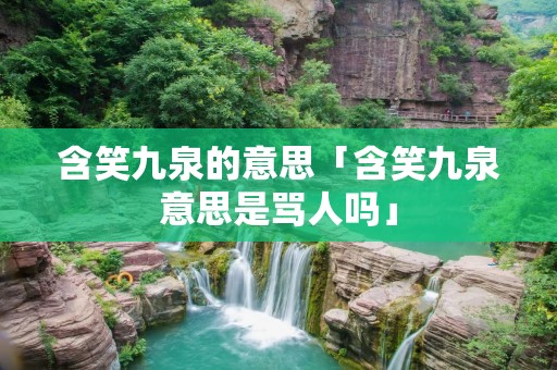 含笑九泉的意思「含笑九泉意思是骂人吗」
