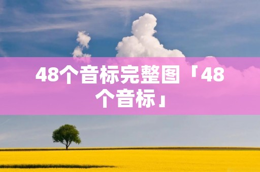 48个音标完整图「48个音标」