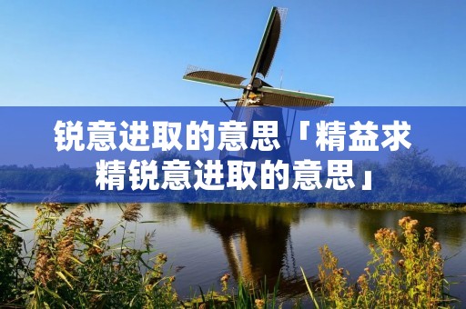 锐意进取的意思「精益求精锐意进取的意思」