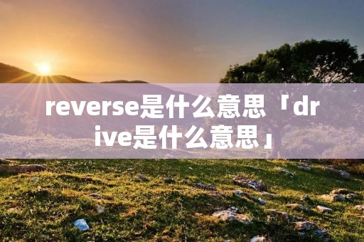 reverse是什么意思「drive是什么意思」