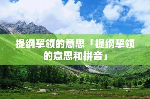 提纲挈领的意思「提纲挈领的意思和拼音」
