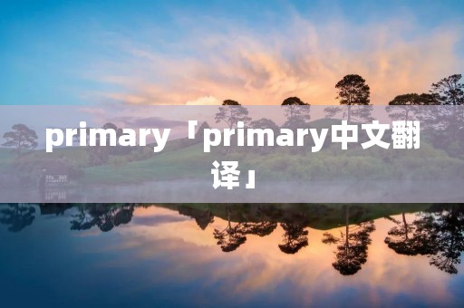 primary「primary中文翻译」