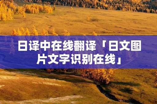 日译中在线翻译「日文图片文字识别在线」