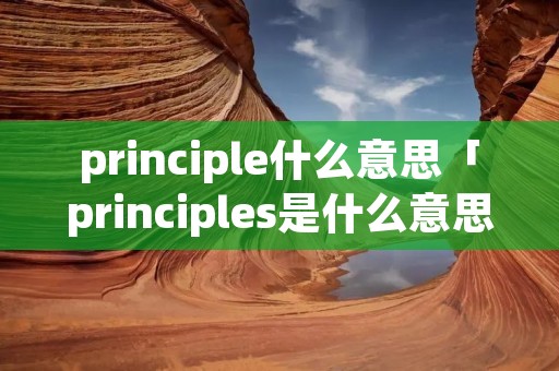 principle什么意思「principles是什么意思」