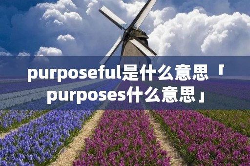 purposeful是什么意思「purposes什么意思」