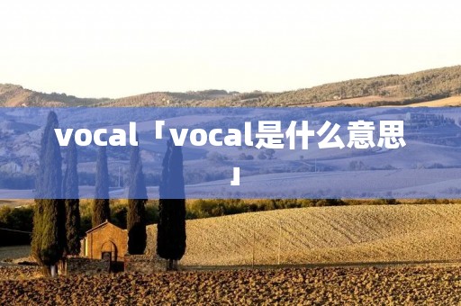 vocal「vocal是什么意思」
