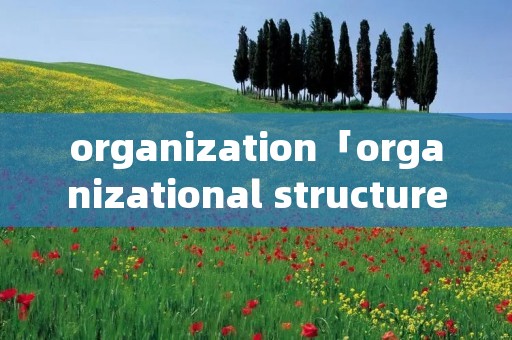 organization「organizational structure」 organization「organizational structure」