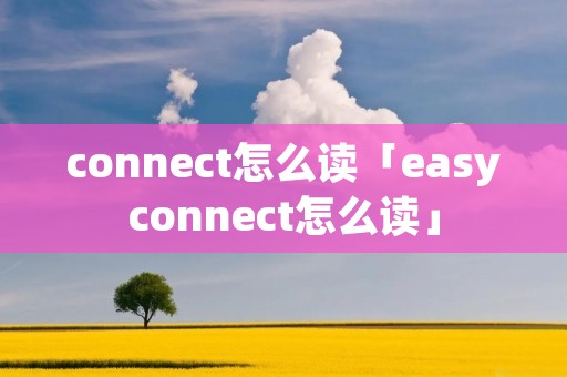connect怎么读「easyconnect怎么读」