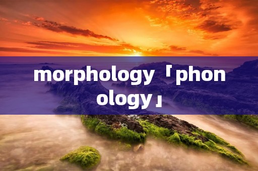 morphology「phonology」 morphology「phonology」