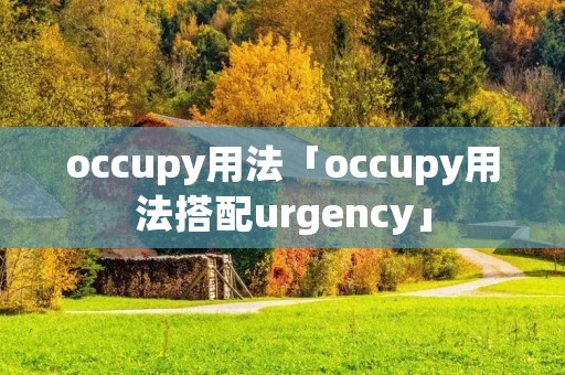 occupy用法「occupy用法搭配urgency」