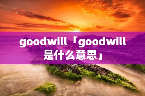 goodwill「goodwill是什么意思」