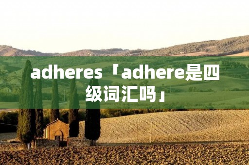 adheres「adhere是四级词汇吗」