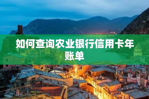 如何查询农业**信用卡年账单