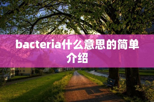 bacteria什么意思的简单介绍
