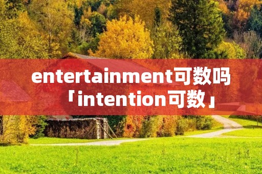 entertainment可数吗「intention可数」