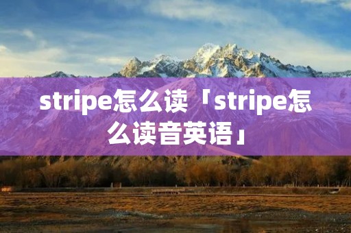 stripe怎么读「stripe怎么读音英语」