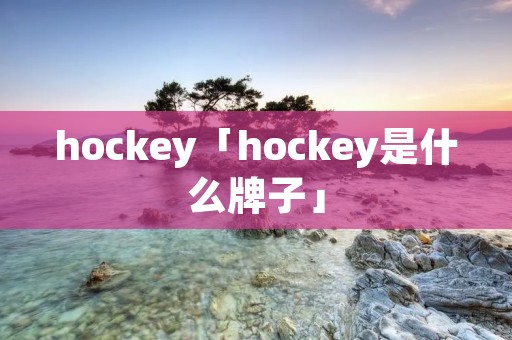 hockey「hockey是什么牌子」
