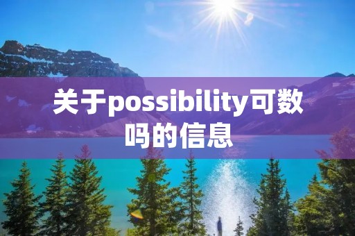 关于possibility可数吗的信息
