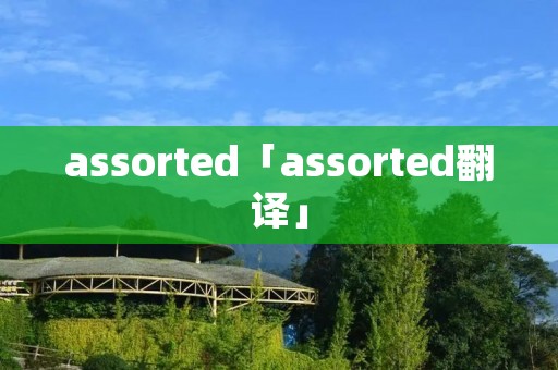 assorted「assorted翻译」