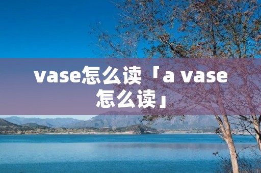 vase怎么读「a vase怎么读」