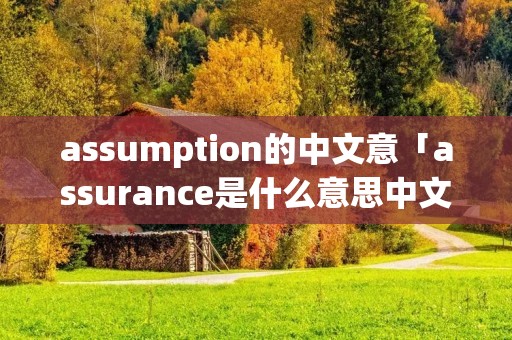 assumption的中文意「assurance是什么意思中文翻译」 assumption的中文意「assurance是什么意思中文翻译」