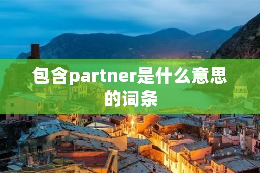 包含partner是什么意思的词条