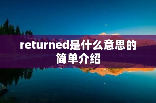 returned是什么意思的简单介绍